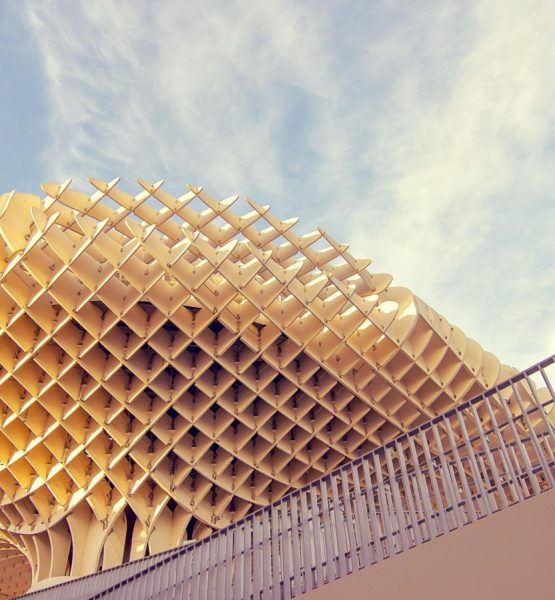 Mask-gr-project-grid-1